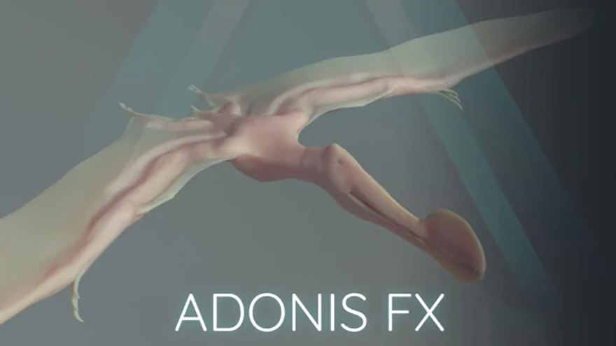 Maya生物肌肉脂肪皮肤面部解算器插件 AdonisFX For Maya